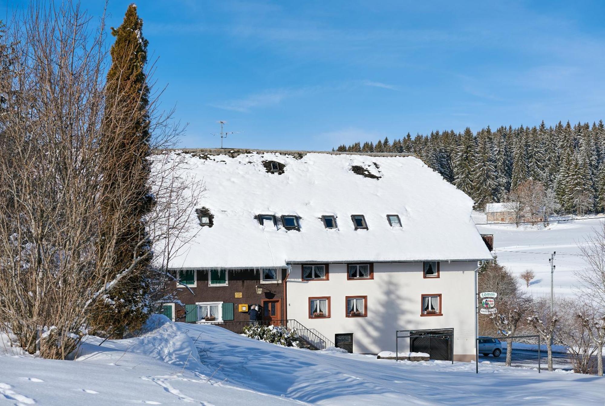 Gasthaus-Pension Zum Loewen غرافنهاوسن المظهر الخارجي الصورة