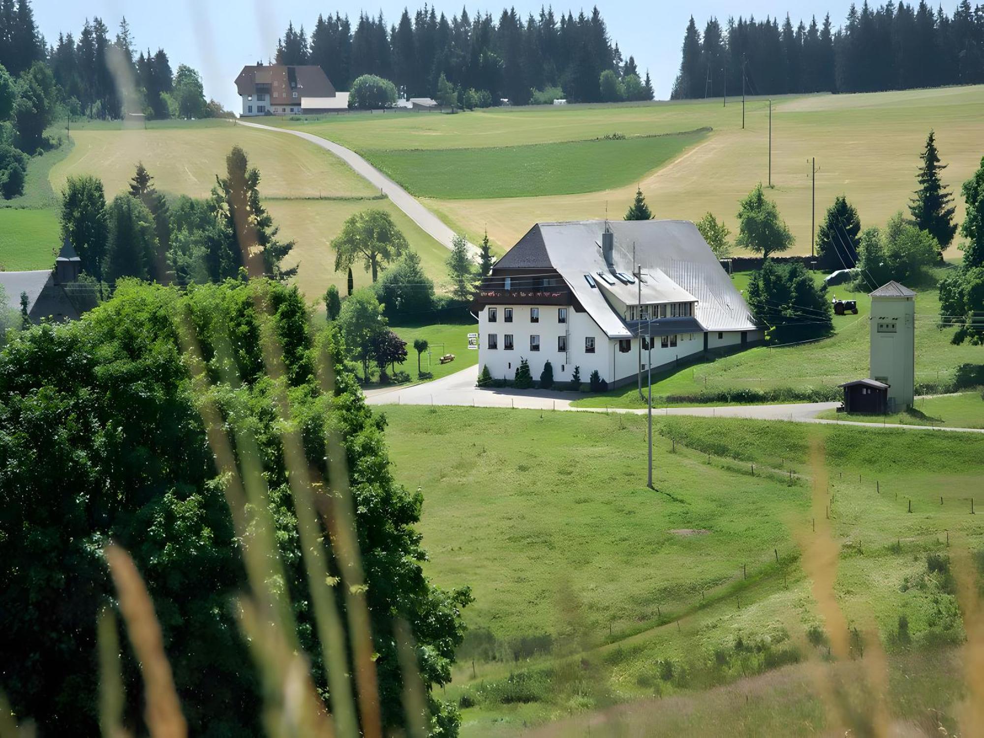 Gasthaus-Pension Zum Loewen غرافنهاوسن المظهر الخارجي الصورة