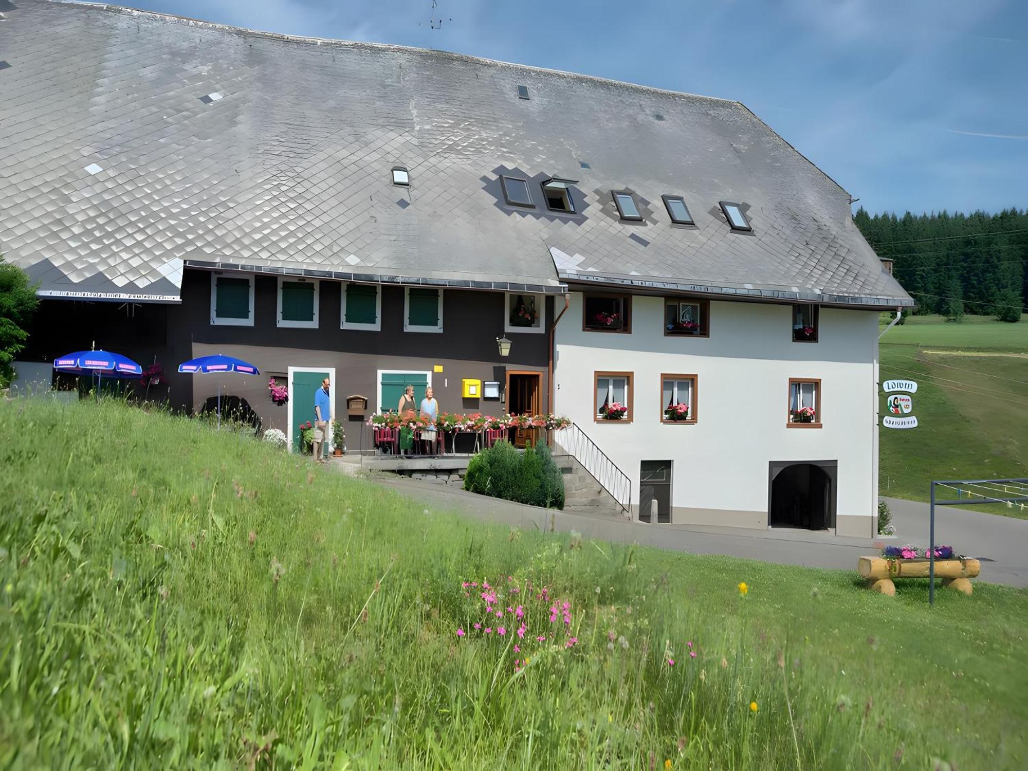 Gasthaus-Pension Zum Loewen غرافنهاوسن المظهر الخارجي الصورة